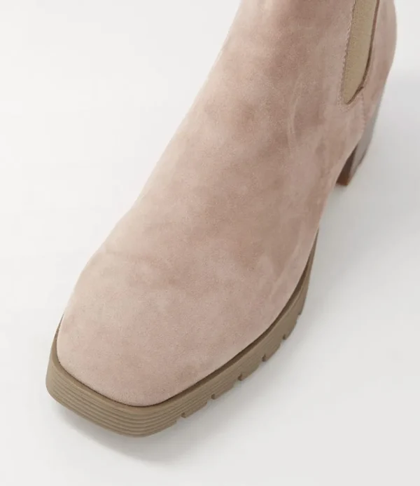 Women DJANGO & JULIETTE Boots<Dunkan Mushroom Suede Chelsea Boots